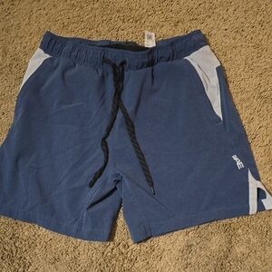 American Eagle Outfitters Blue and Black Lined Shorts